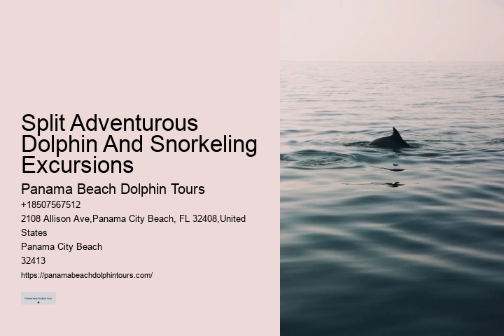 Dolphin Excursions at PCB