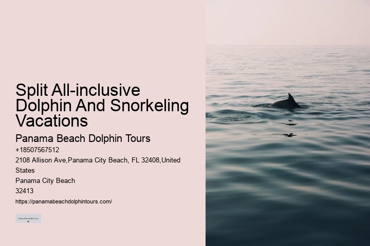 Why Not To Swim With Dolphins