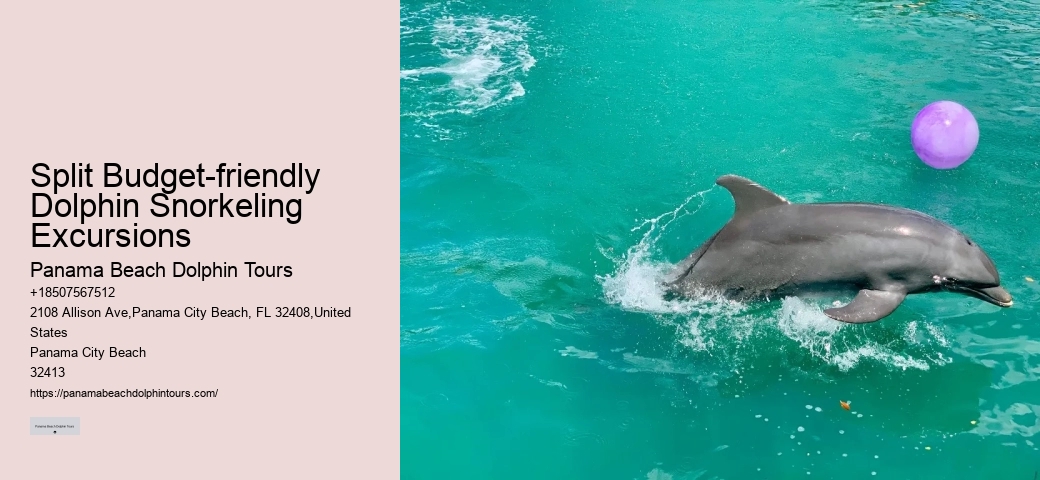 Dolphin Tours Rehoboth Beach
