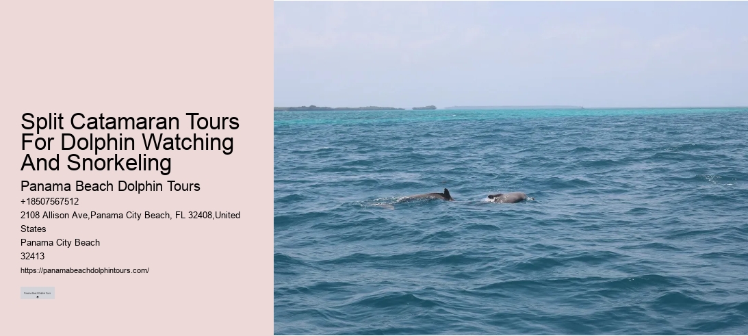 Split Catamaran Tours For Dolphin Watching And Snorkeling