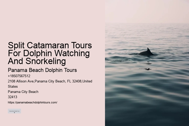 Intimate Dolphin Encounter and Snorkeling Tours