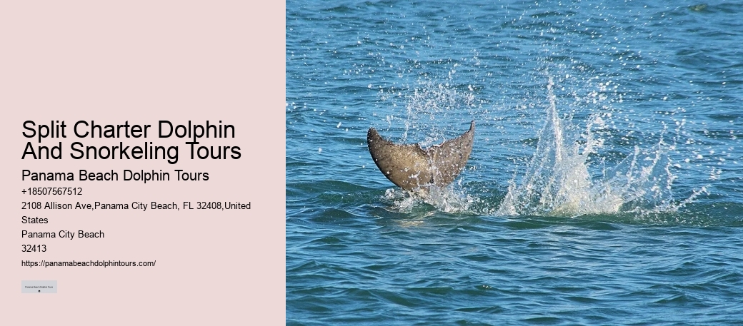 Ocean conservation