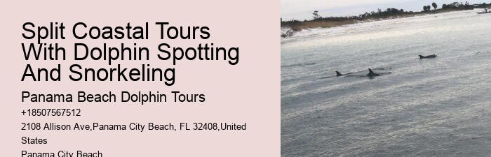Panama City Beach Dolphin Adventure Cruises