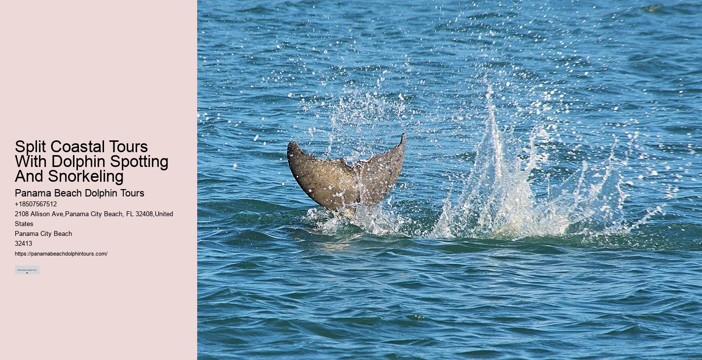 Dolphin Spotting Tours Combined With Snorkeling In Split
