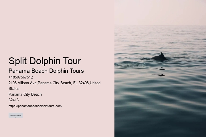 Why Do Dolphins Swim Close To Shore