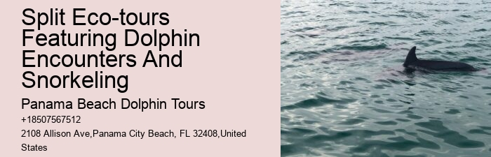 Split Exclusive Dolphin And Snorkeling Charters