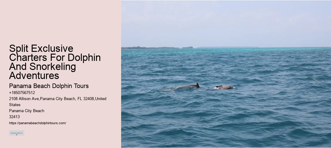 Split Exclusive Charters For Dolphin And Snorkeling Adventures