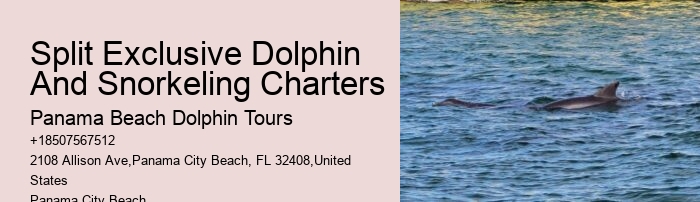 Dolphin Tours Redington Beach Fl