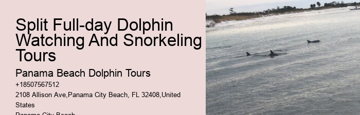 Split Dolphin Spotting And Snorkel Trips