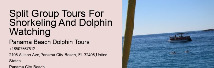 Are Dolphins Naturally Friendly Toward Humans