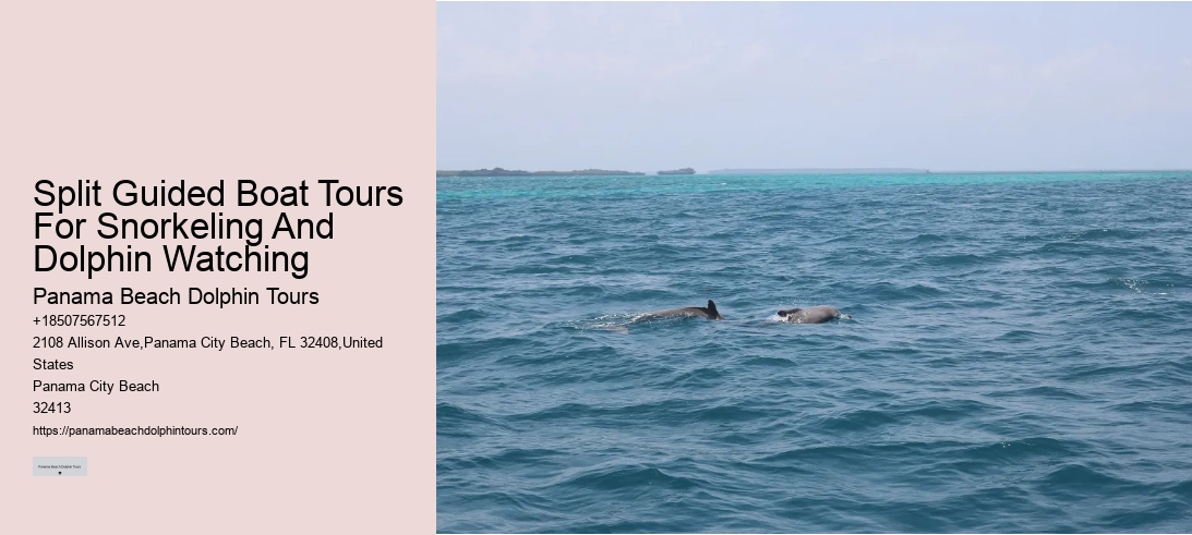 Split Guided Boat Tours For Snorkeling And Dolphin Watching