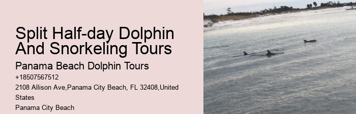 Dolphin Cruise 30a
