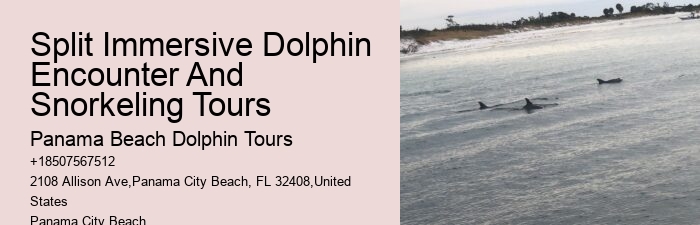 Split Multi-day Sailing Trips With Dolphin Watching And Snorkeling