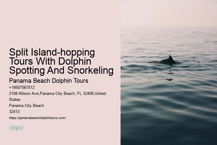 Split Snorkeling Expeditions With Dolphin Watching Included
