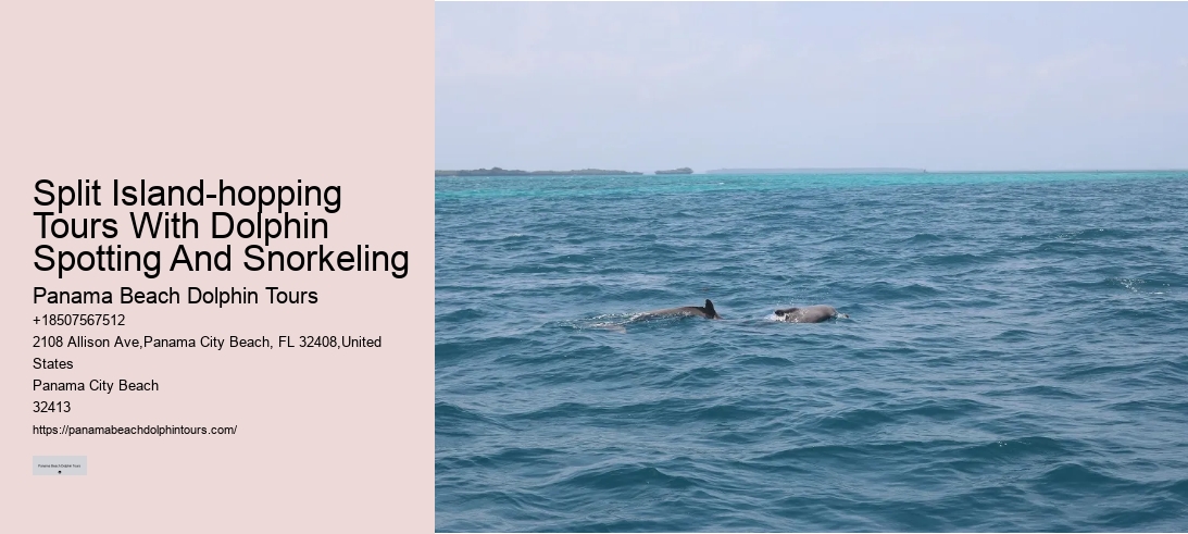 Split Island-hopping Tours With Dolphin Spotting And Snorkeling