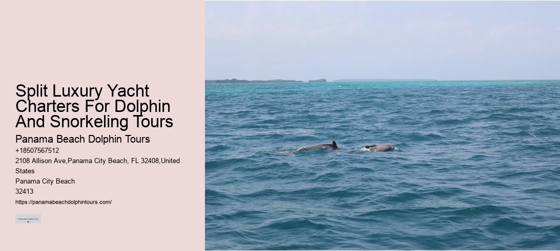 Split Luxury Yacht Charters For Dolphin And Snorkeling Tours