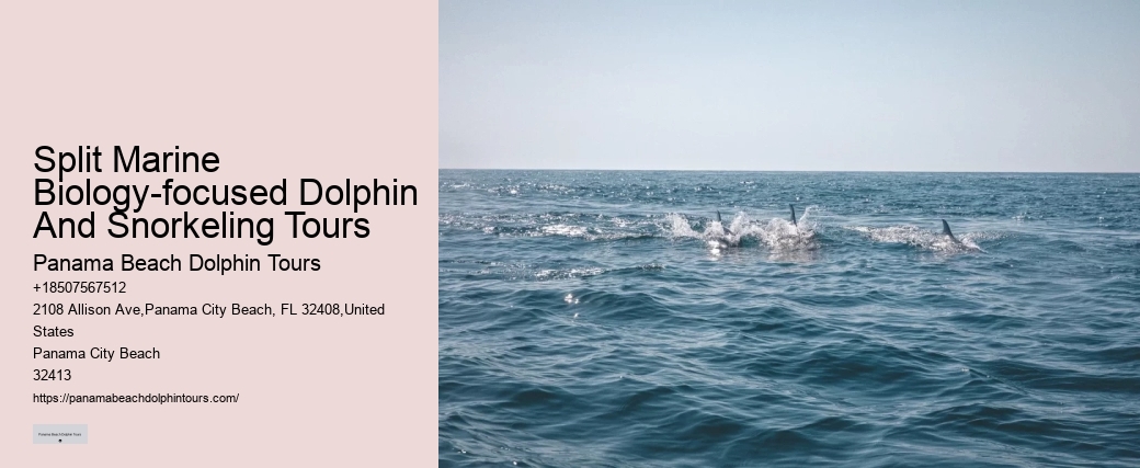 This Is How Dolphins 'see' Humans With Echolocation