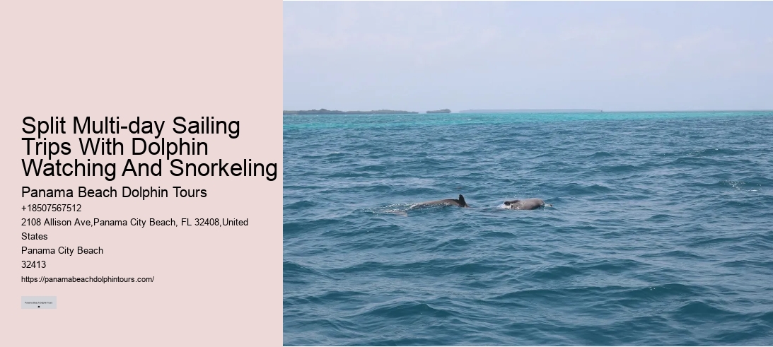 Split Multi-day Sailing Trips With Dolphin Watching And Snorkeling