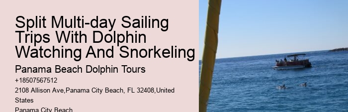 Split Eco-tours Featuring Dolphin Encounters And Snorkeling