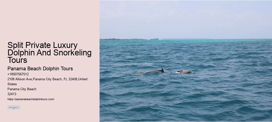 Split Private Luxury Dolphin And Snorkeling Tours