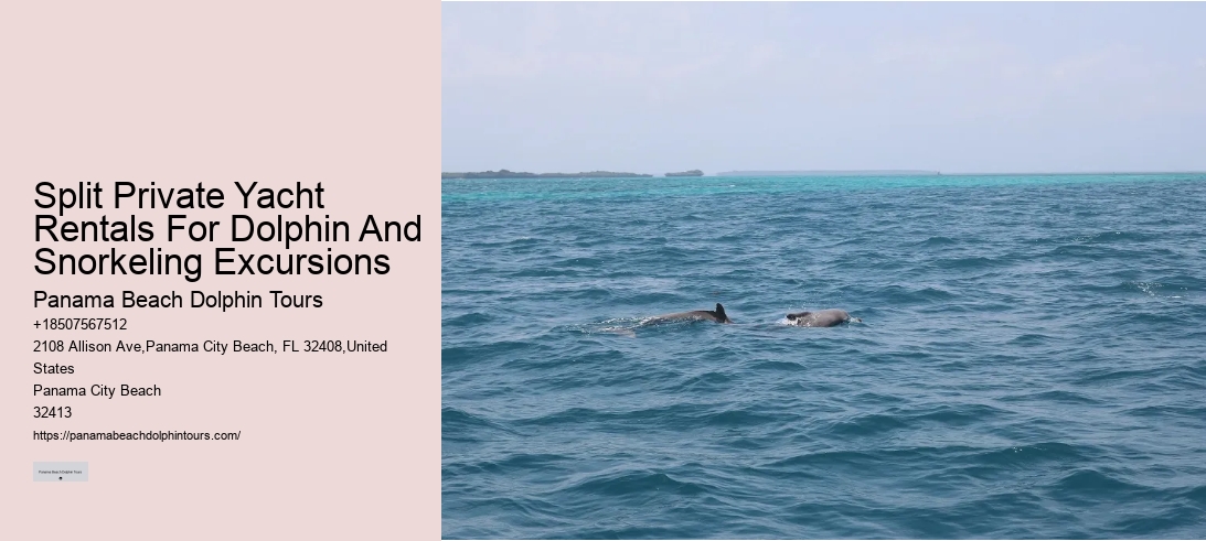 Split Private Yacht Rentals For Dolphin And Snorkeling Excursions