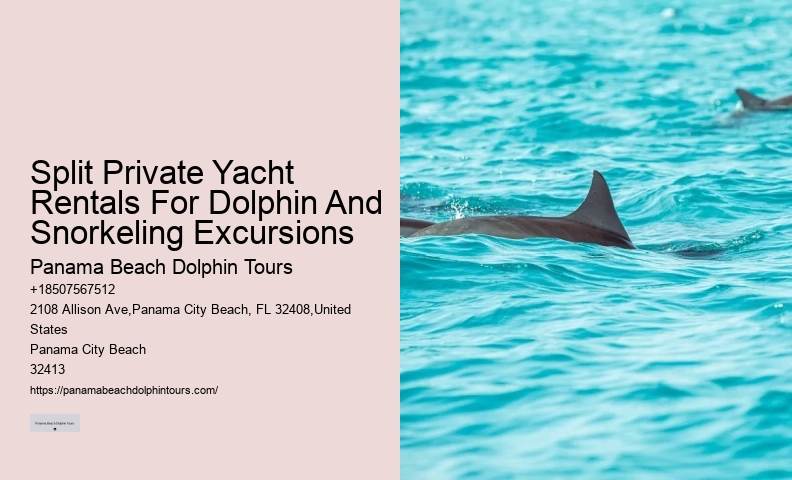 Split Unforgettable Snorkeling And Dolphin Trips