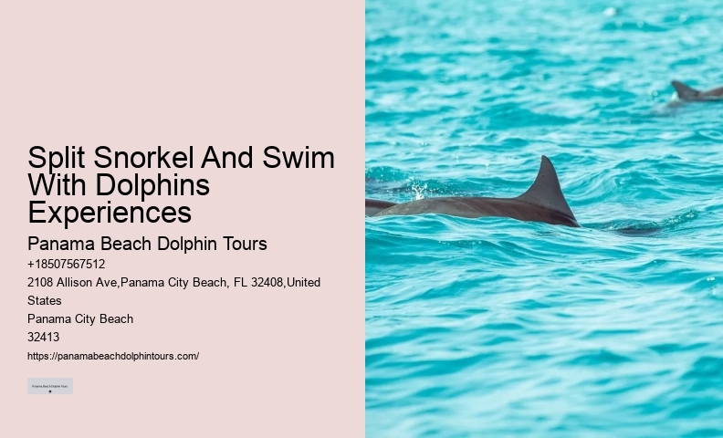 Private 2 Hour Dolphin Cruise
