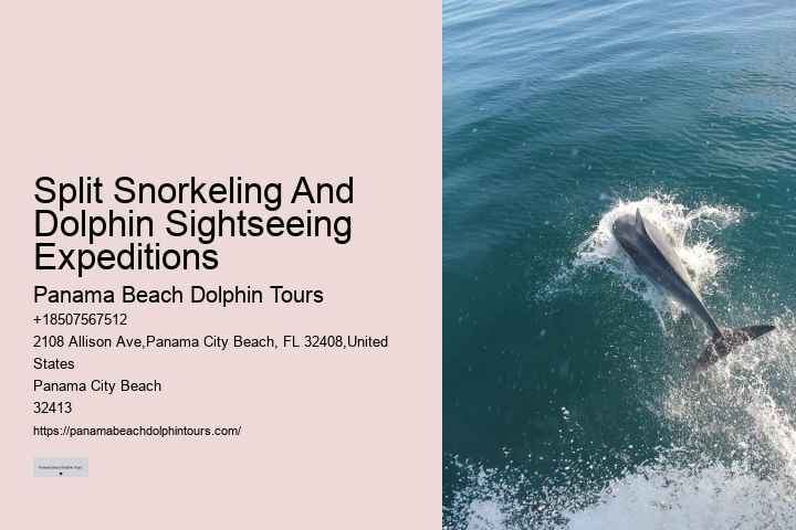 Panama City Beach dolphin boat excursions