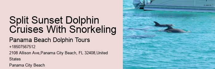 Private Dolphin Tours Gulf Shores
