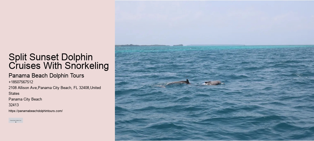 Split Sunset Dolphin Cruises With Snorkeling