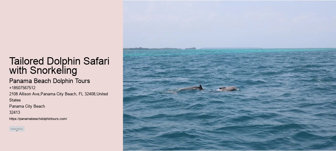 Tailored Dolphin Safari with Snorkeling