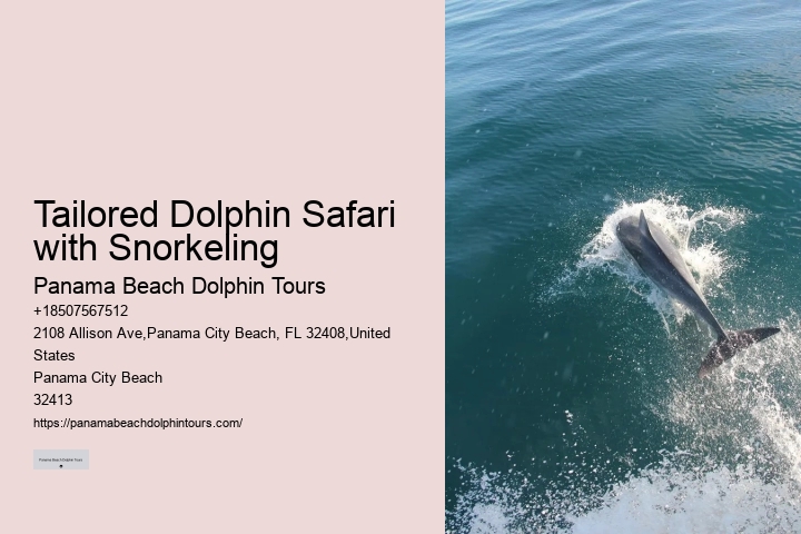 Best Dolphin Tours In Panama City Beach