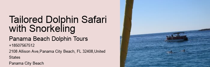 Dolphin Tours Near Panama City Beach