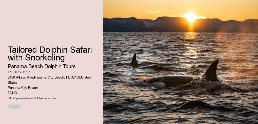 Behind The Smiles: The Suffering Endured By Captive Dolphins