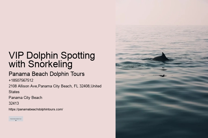 Closest Dolphin Tour Near Me
