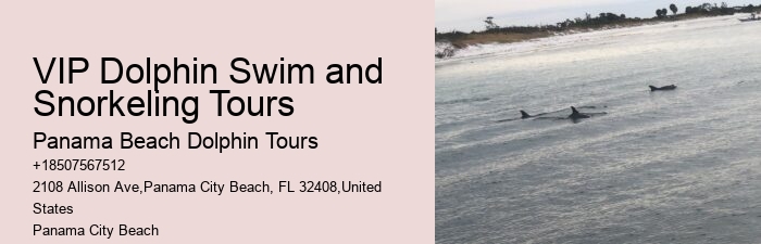 Split Charters