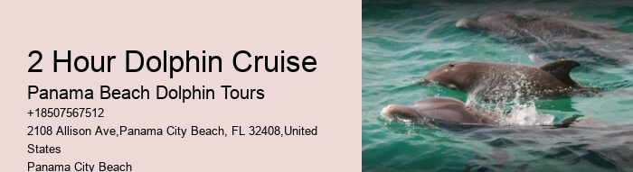 Split Bespoke Snorkeling And Dolphin Itineraries