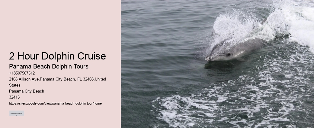PCB Dolphin Discovery Voyages