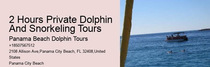 Split Premium Dolphin And Snorkeling Experiences