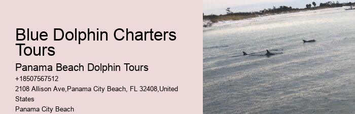 How far in advance should I book a dolphin tour in Panama City Beach