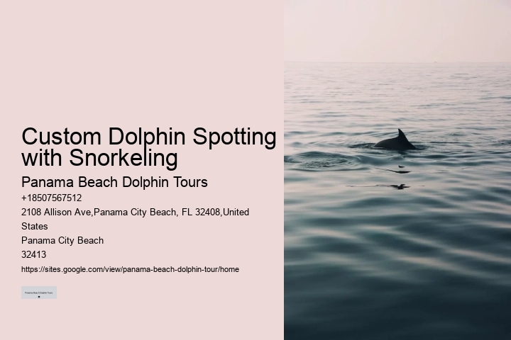Panama City Beach dolphin boat trips
