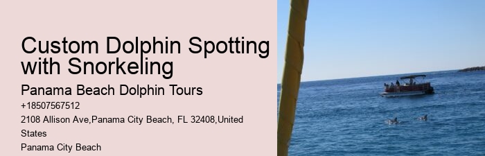 Jet Ski Dolphin Tours Panama City Beach Florida