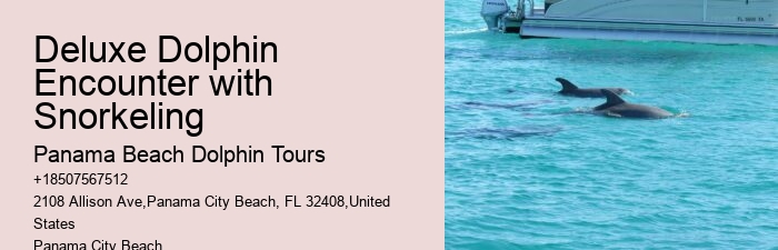 Split Marine Tours With Dolphin Encounters