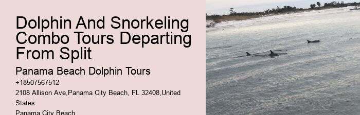 Split Expert-guided Dolphin And Snorkeling Tours