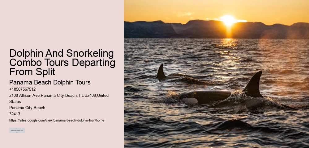 Private Dolphin Tours