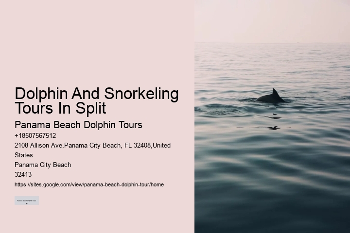 Panama City Beach marine life tours