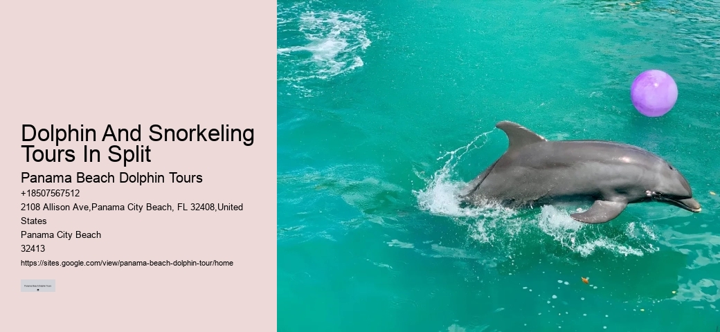 Are Panama City Beach dolphin tours suitable for non-swimmers