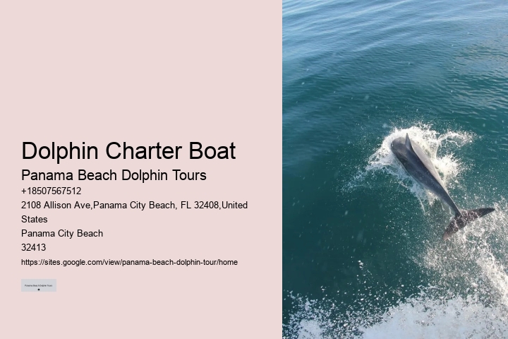 Panama City Beach Private Dolphin Tours
