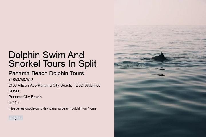 Dolphin Watching And Snorkeling Adventures In Split