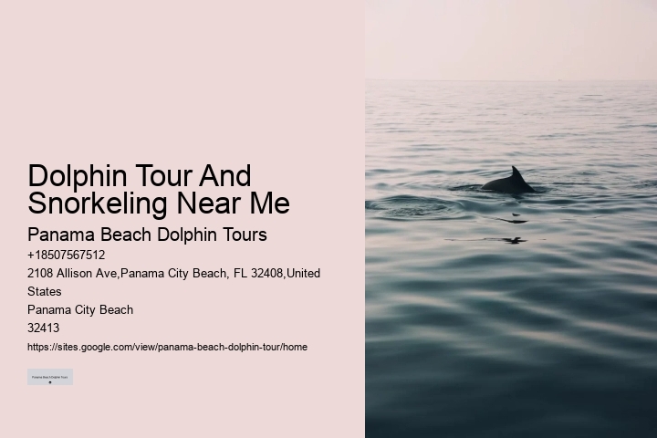 Split Charter Dolphin And Snorkeling Tours Cost